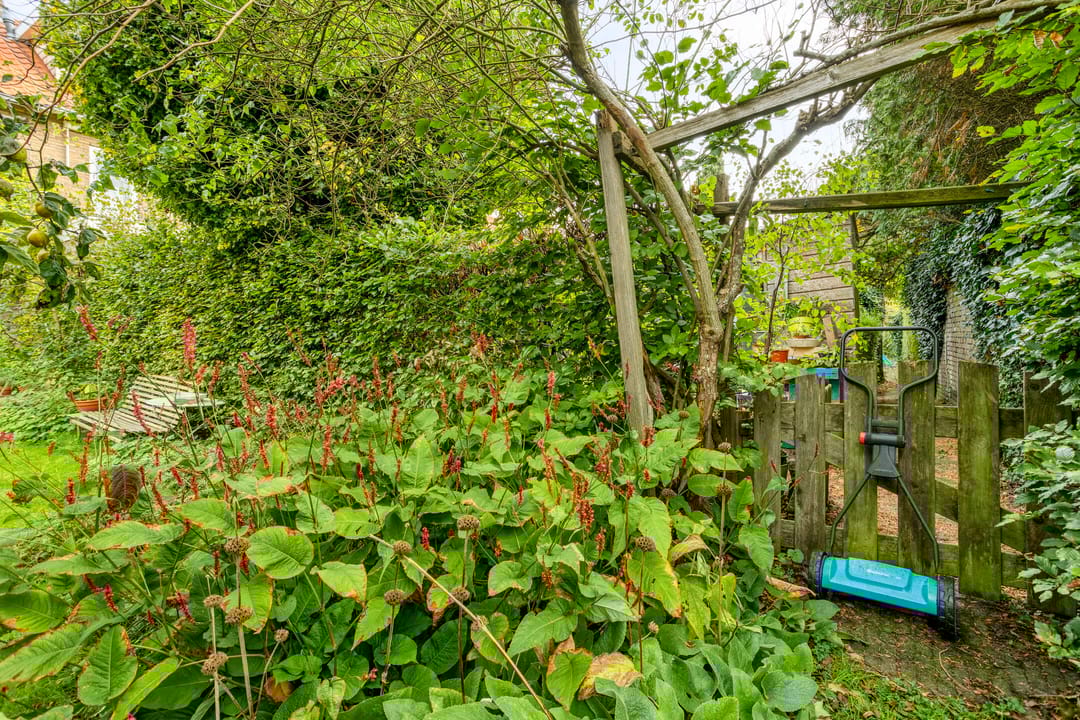 Photo 56 of Cornelis van der Lijnlaan 28