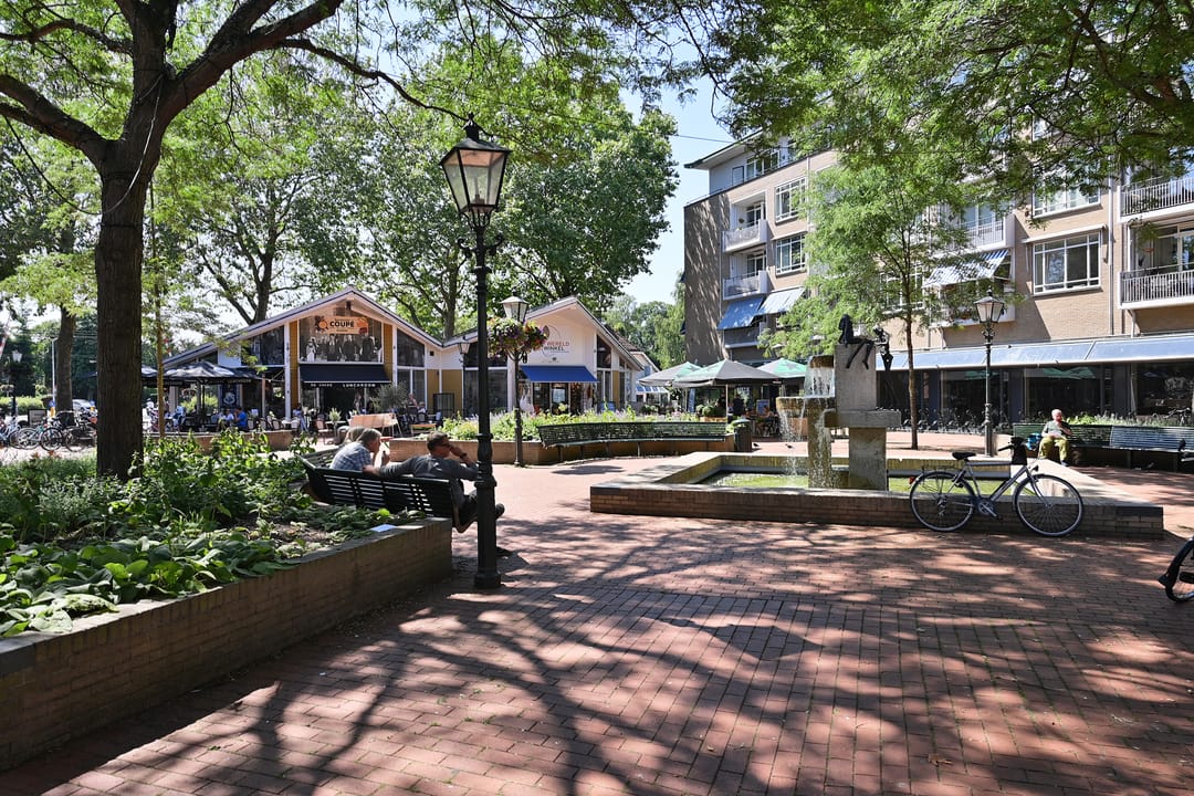 Foto 16 van Wilhelminaplantsoen 69