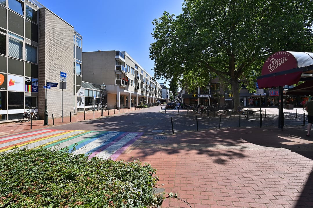 Foto 17 van Wilhelminaplantsoen 69