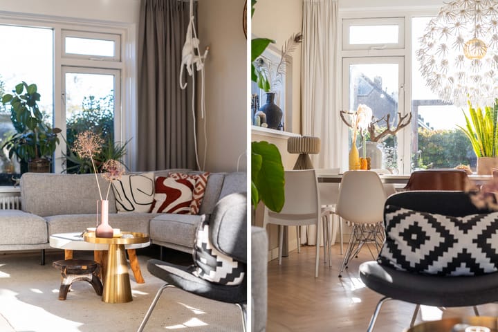 Foto 8 van Sixmastins 32