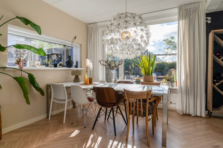 Foto 10 van Sixmastins 32