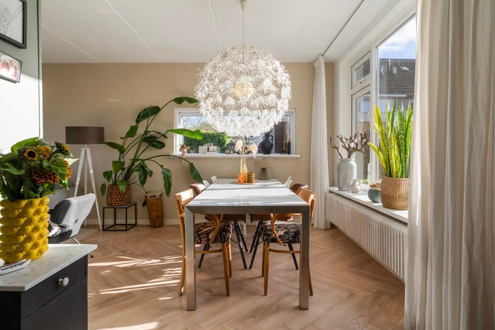 Foto 11 van Sixmastins 32