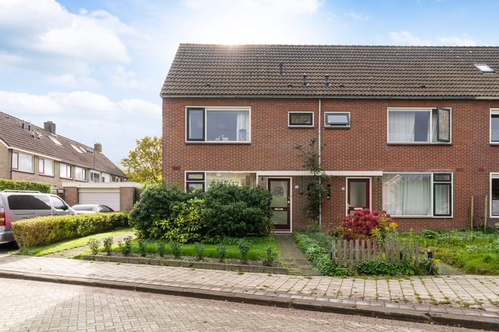 Foto 33 van Sixmastins 32