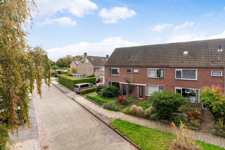 Foto 36 van Sixmastins 32