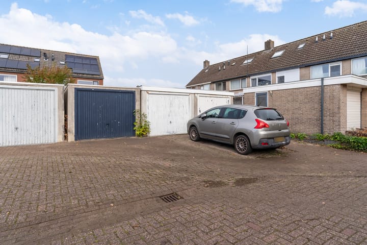 Foto 37 van Sixmastins 32