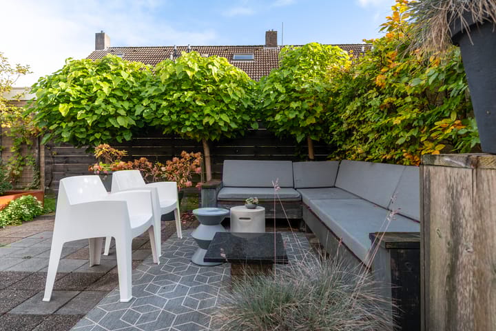 Foto 28 van Sixmastins 32