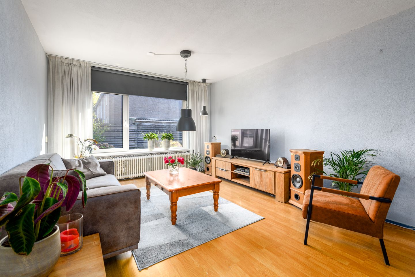 Photo 5 of De Nova Cura 119