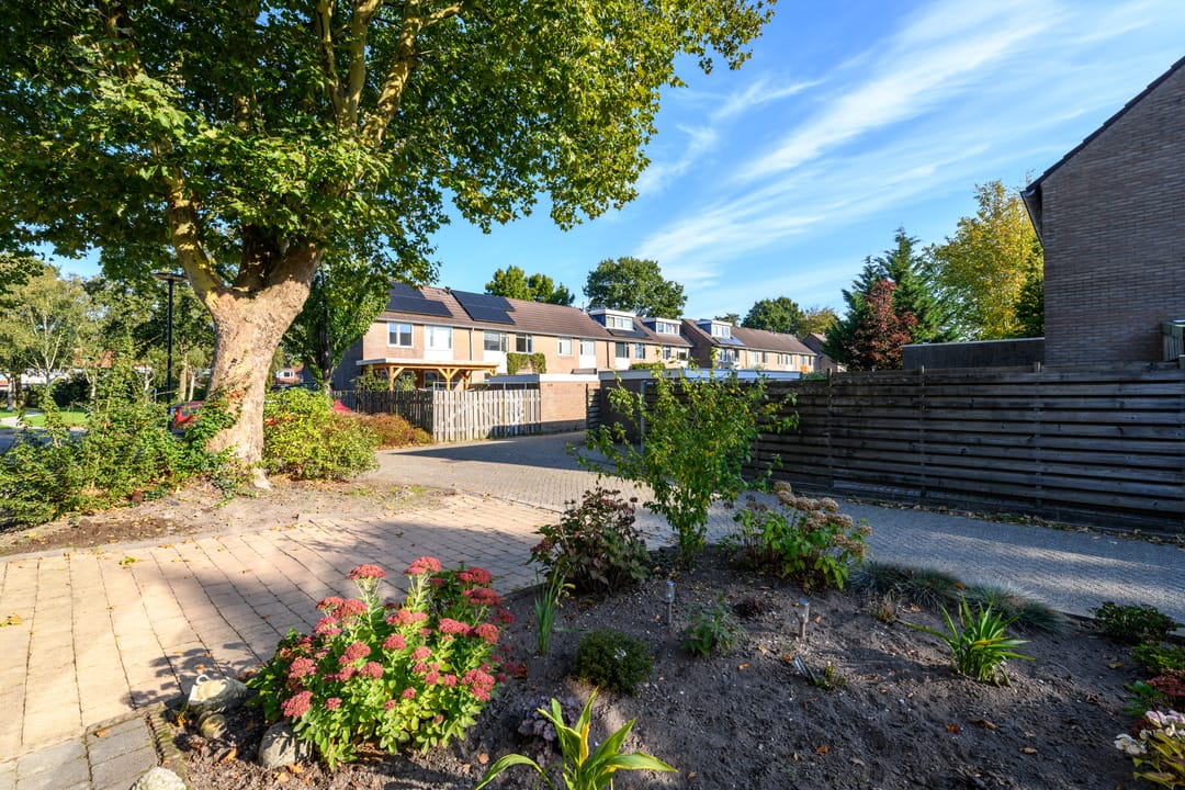 Photo 41 of De Nova Cura 119