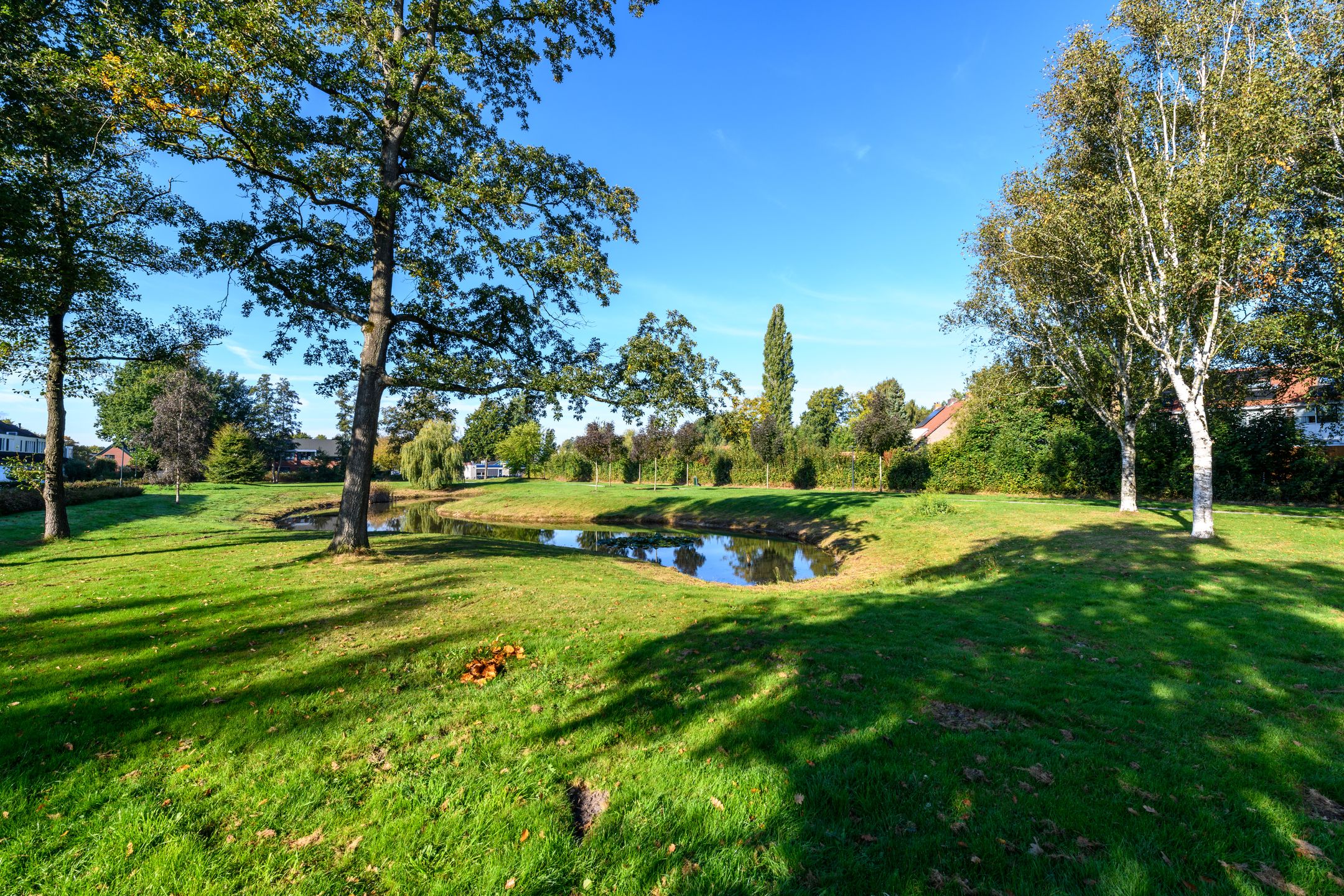 Photo 45 of De Nova Cura 119