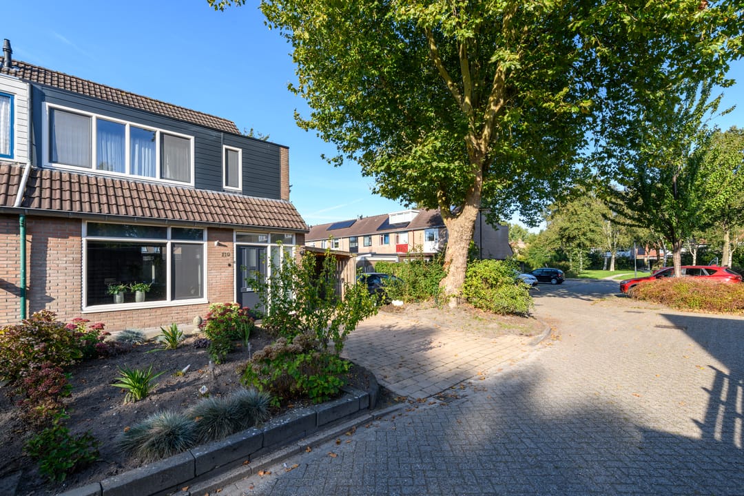 Photo 46 of De Nova Cura 119