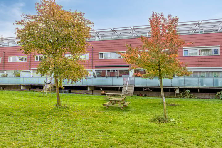 Foto 2 van Meerval 30