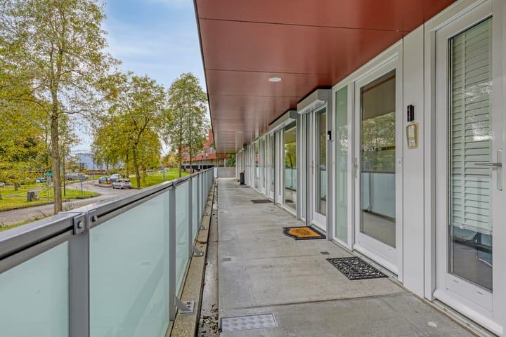 Foto 3 van Meerval 30