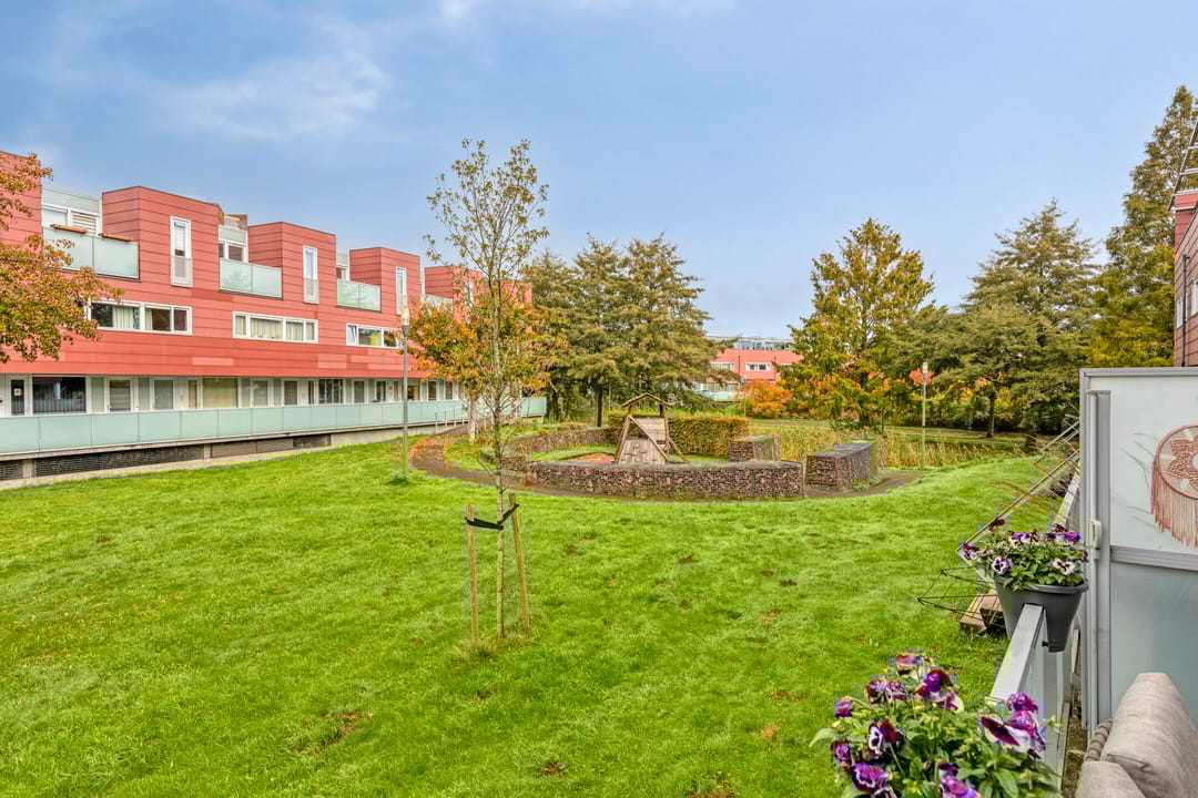 Foto 17 van Meerval 30