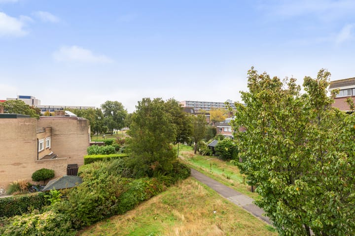 Photo 52 of Logger 18