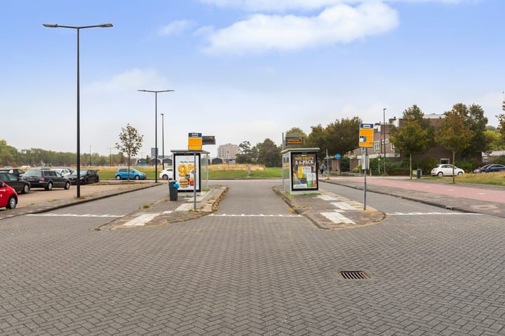 Photo 55 of Logger 18