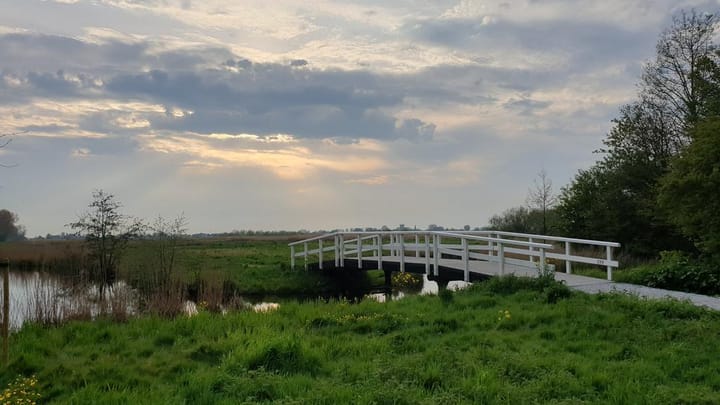 Foto 49 van Brouwersveld 3