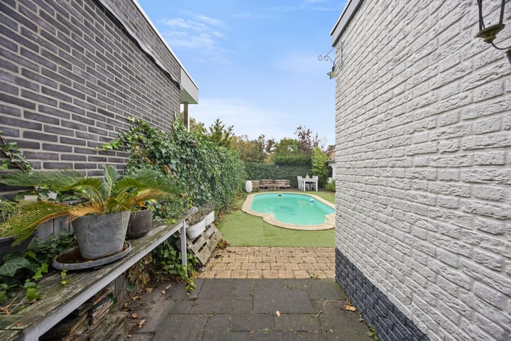 Photo 30 of Wolput 6