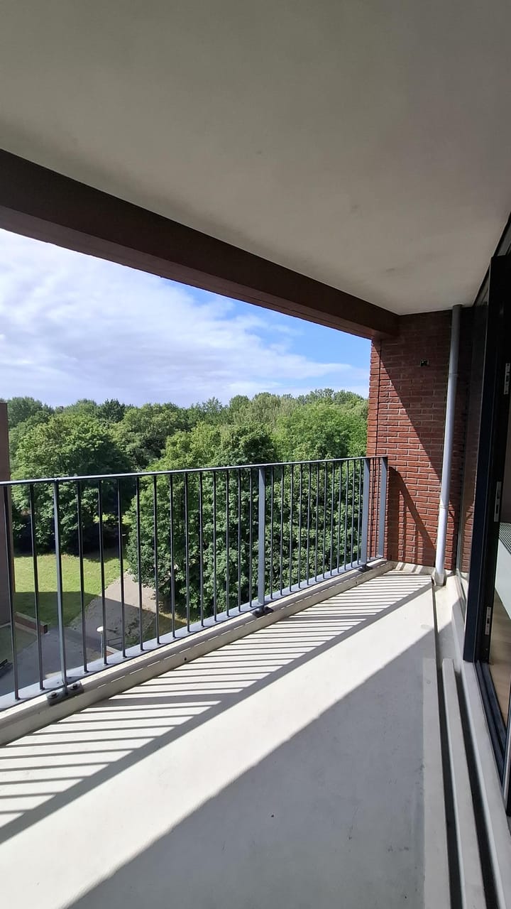 Foto 5 van Wijnruitstraat 257