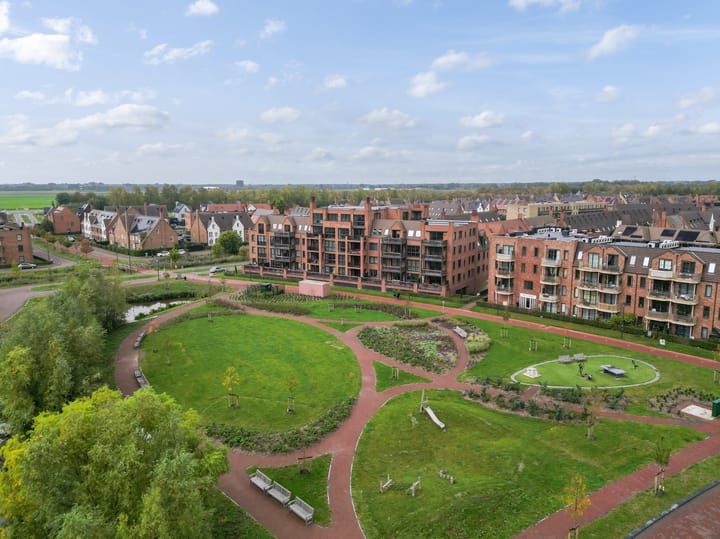 Thomas Morelaan 305 main image