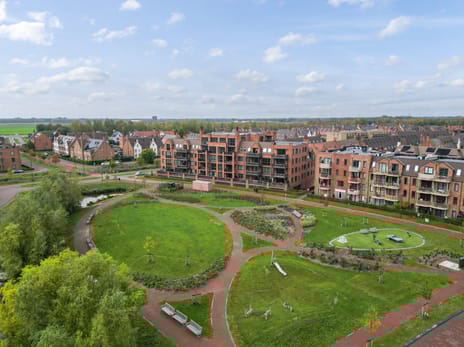 Thomas Morelaan thumbnail