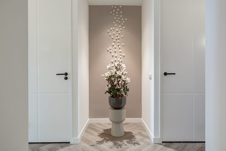 Foto 10 van Thomas Morelaan 305