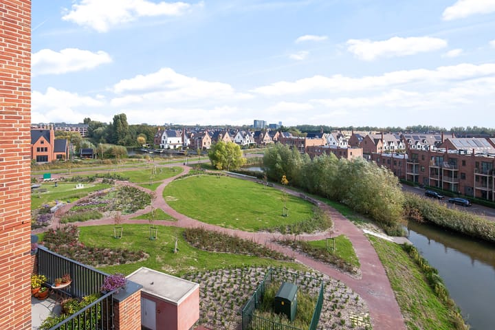 Foto 57 van Thomas Morelaan 305