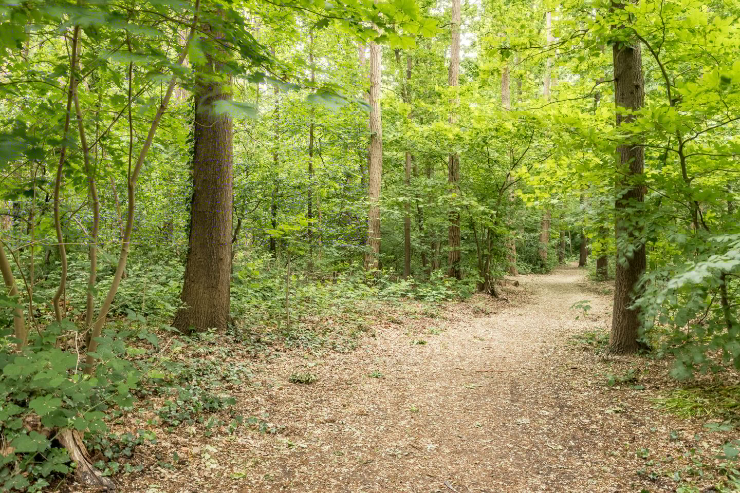 Photo 19 of Motetpad 45