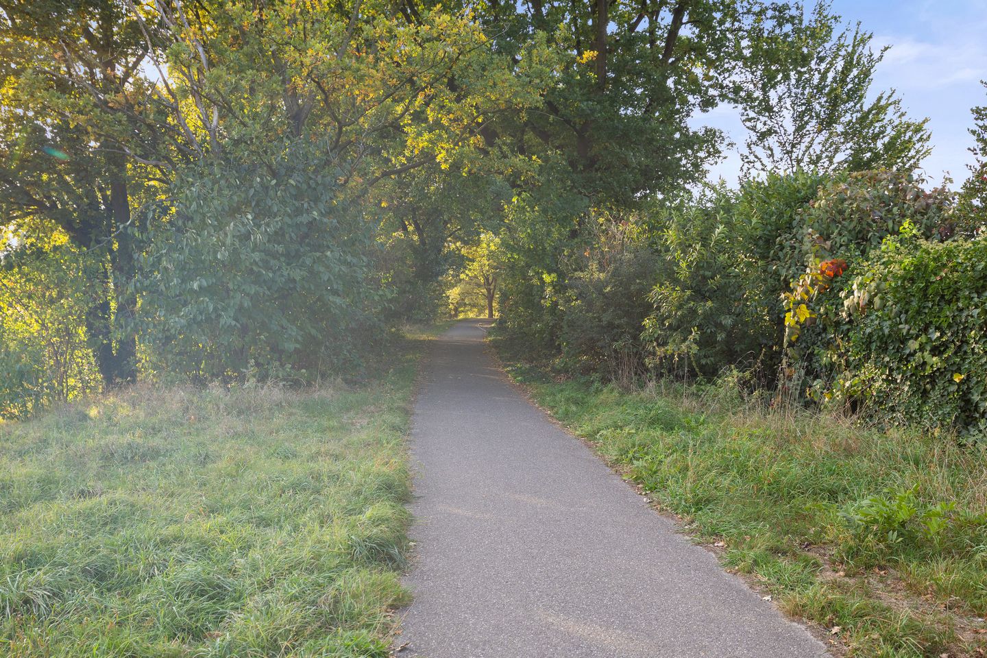 Foto 80 van Mozartlaan 48