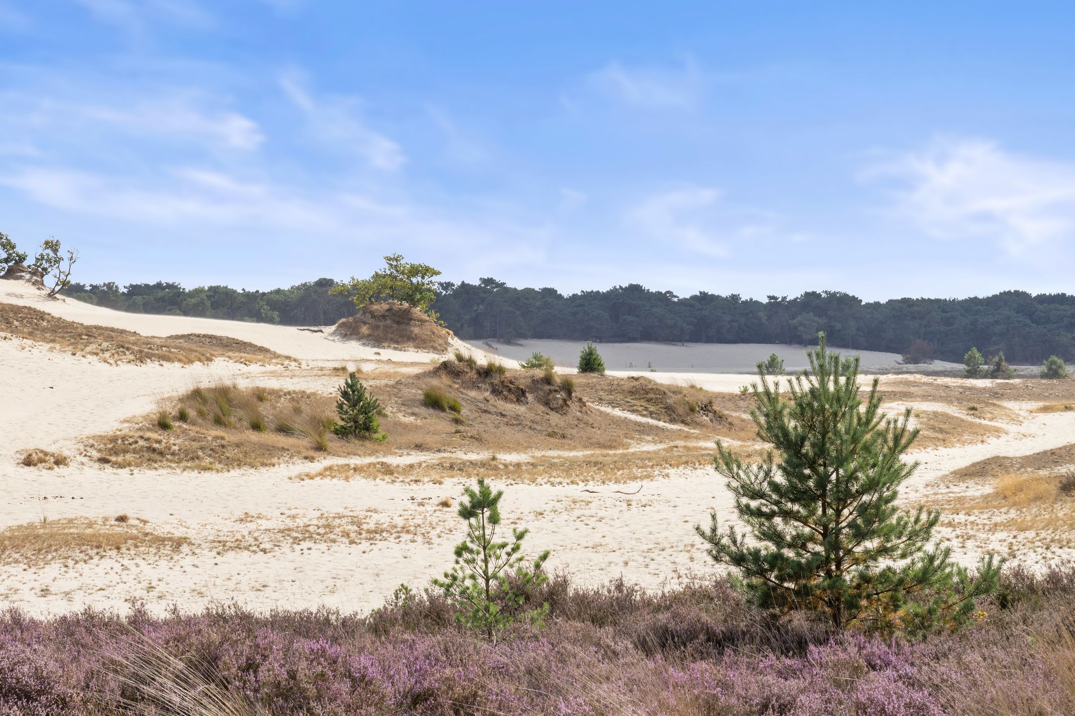 Foto 81 van Mozartlaan 48