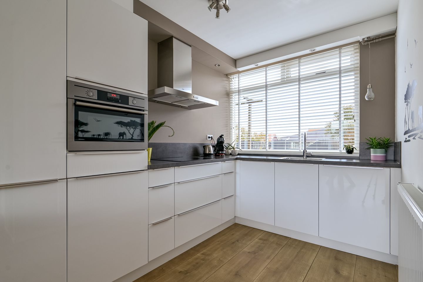 Foto 4 van Hagelingerweg 97