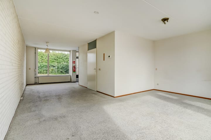 Foto 7 van Boekweit 6