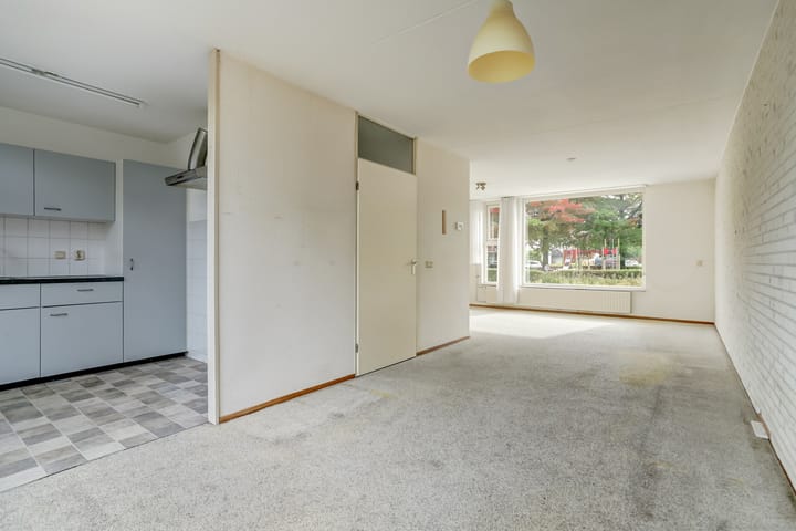 Foto 8 van Boekweit 6