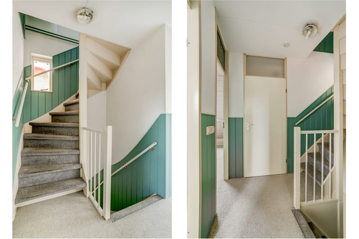 Foto 12 van Boekweit 6