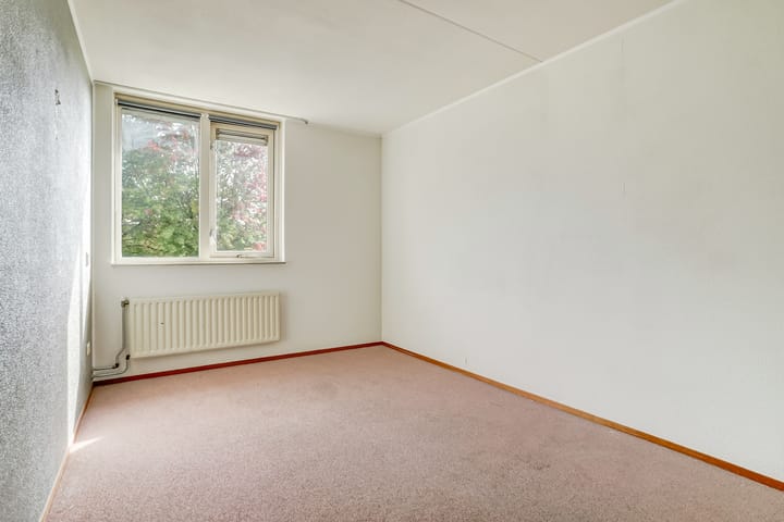 Foto 13 van Boekweit 6