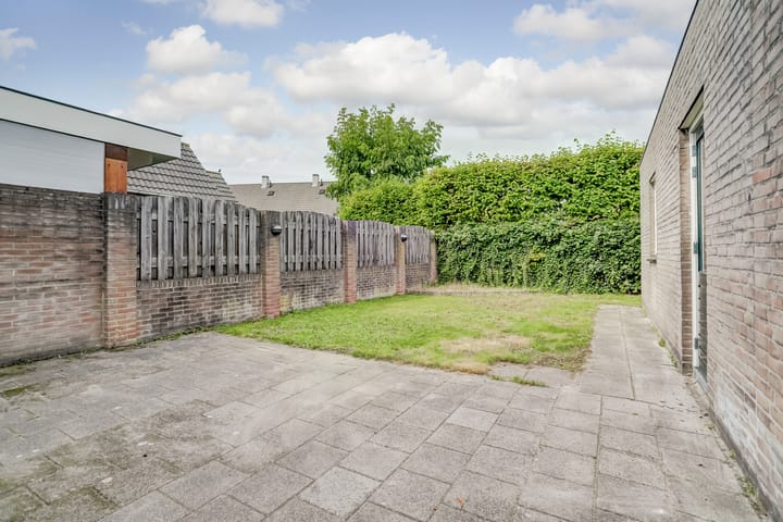 Foto 23 van Boekweit 6