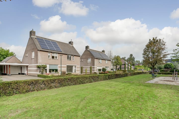 Foto 29 van Boekweit 6