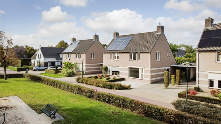 Foto 27 van Boekweit 6