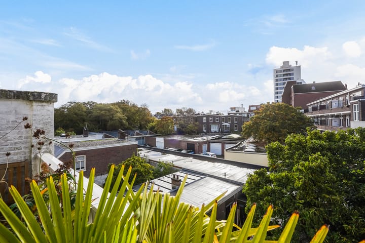 Foto 53 van Obrechtstraat 194-A