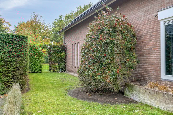 Foto 53 van de Mandenmaker 17