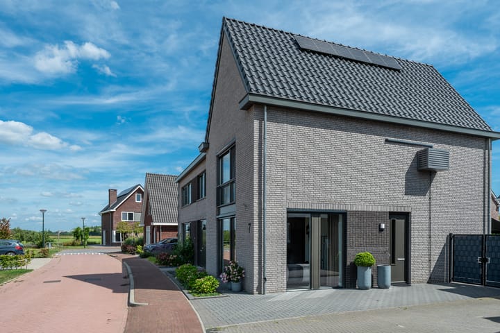 Photo 6 of Luikens 7