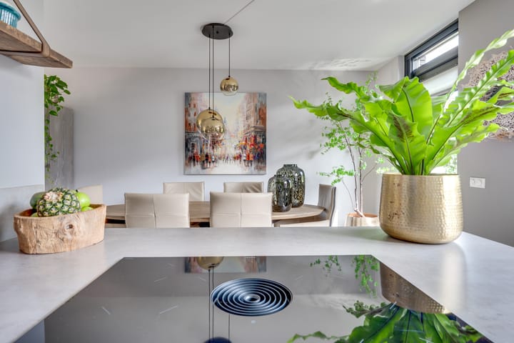 Photo 21 of Luikens 7