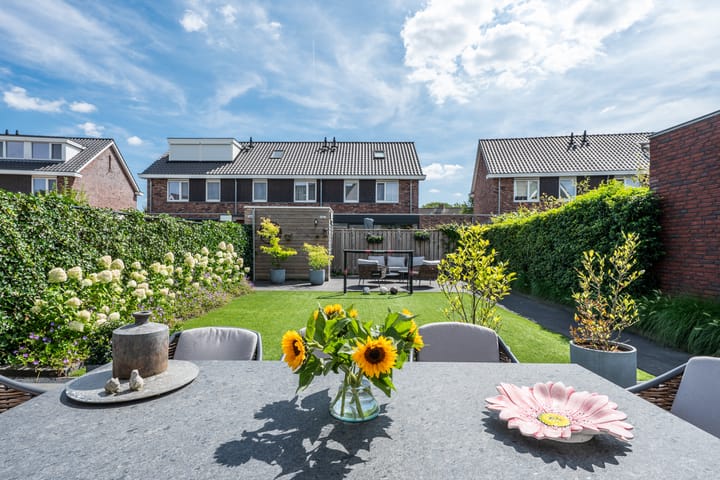 Photo 35 of Luikens 7