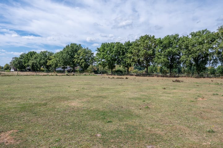 Photo 40 of Luikens 7