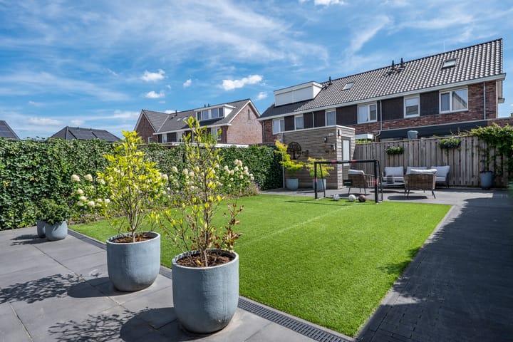 Photo 36 of Luikens 7