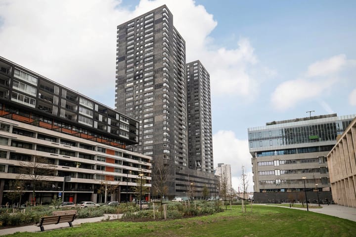 Foto 2 van Gedempte Zalmhaven 531