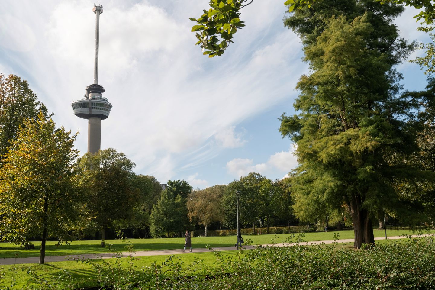 Photo 29 of Gedempte Zalmhaven 531