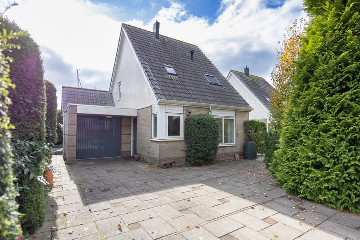 Foto 10 van Kievit 11