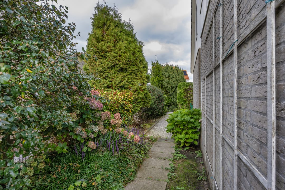 Foto 31 van Kievit 11