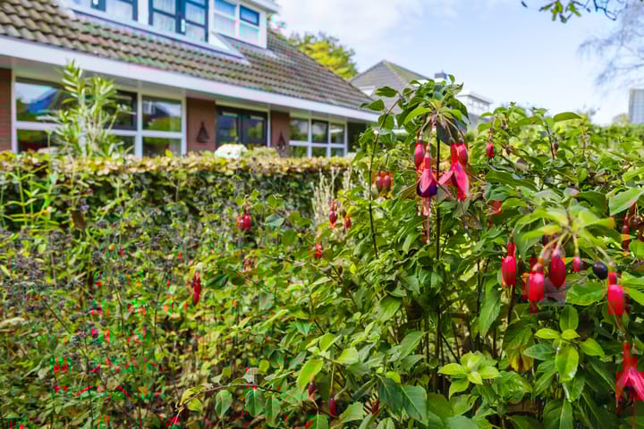 Foto 17 van Lange Singel 27