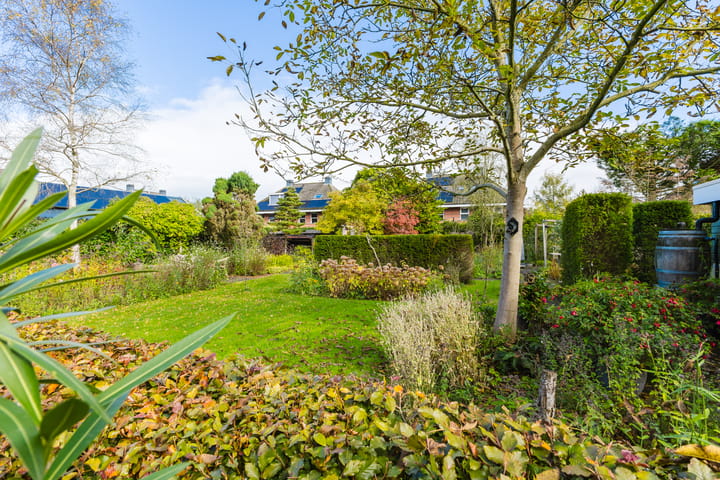 Foto 19 van Lange Singel 27